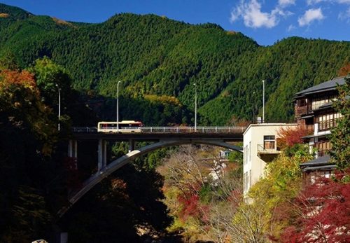 青梅市 ふるさと納税　お墓掃除代行サービスを始めました